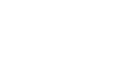 RANERINET Srls - Consulente Informatico a Torino