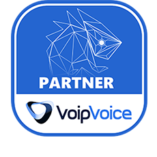 Da oggi siamo partner VoipVoice